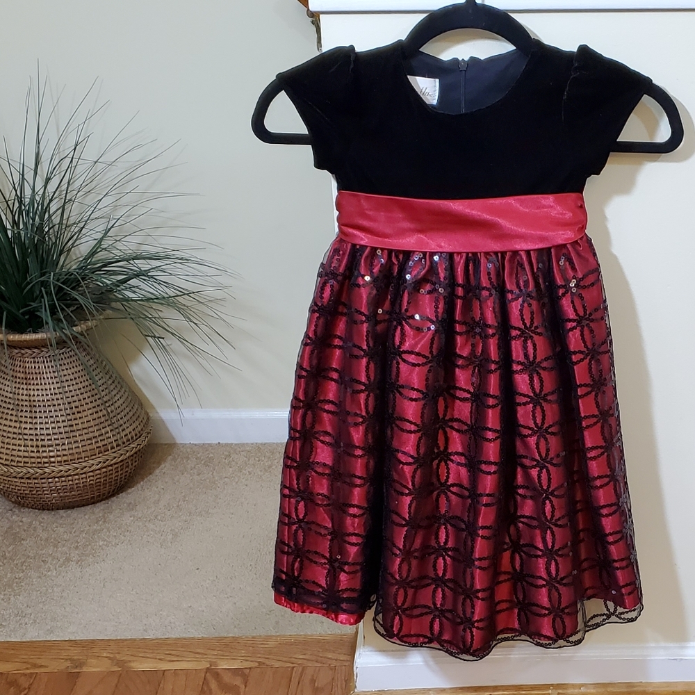 Cinderella Velvet Embroidered Girls Dress - Picture 1 of 8